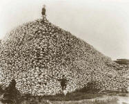 Mountain of Indian Skulls